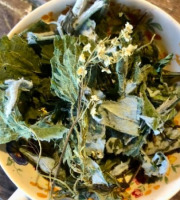 La Cabane à plantes - Infusion Nouveau départ