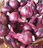 La Ferme de Milly - Anjou - OIGNONS ROUGES-BIO-1KG