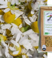 L'Agricueilleur du Suzon - Camomille BIO