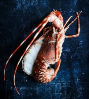 La Maison du Homard - Pack : 10 langoustes cuites coupées en deux (9 + 1 offerte)