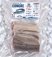 Mon Petit Poisson - Tronçon de congre de ligne (500 à 700g)