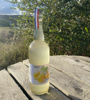 Ferme Sinsac - petillant de Mirabelles sans alcool 75 cl