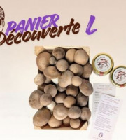 Les Myconautes - Panier Myconautes champignons bio - Taille L