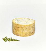 Fromage Gourmet - Fourme de Montbrison AOP 1/2 - 1,200kg