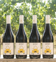 Domaine la Paganie - Vin rouge nature – Démarrage en COT– 6 bouteilles