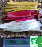 LES JARDINS DE KARINE - Côtes de blettes - 1kg