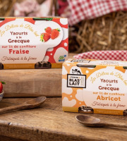 La Ferme de Blas'Lait - Lot Yaourts à la grecque sur lit de confiture Fraise x4 + Abricot x4