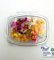 Les Nouvelles Fermes - Mix de fleurs comestibles (boite de 40 fleurs)