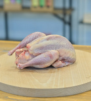 L'Atelier du Loup - Poule faisane prête à cuire x2
