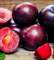 L’Oliveraie du Coudon - PRUNES Obilnaya 5 Kg env