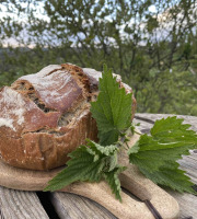 Ferme Sinsac - Pain de printemps à l'ail des ours et aux orties