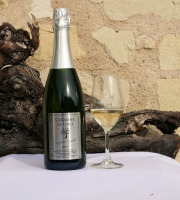 Domaine de la Chopinière du Roy - Crémant de Loire Blanc Brut, Fines Bulles et Fruité AOP - 6x75 cl