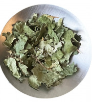 Esprit Zen - Feuilles de Bouleau coupées - Tisane - 2 Sachets de 500g