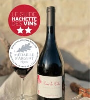 Domaine de la Chopinière du Roy - Vin rouge Saint Nicolas de Bourgueil - Cuvée Sous la Robe 2023 - 6x75cl