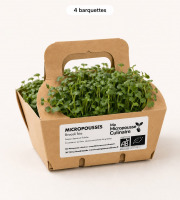 Ma Micropousse culinaire - Micro-pousses bio de brocoli Calabrese – 4 barquettes