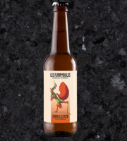 Boucherie Charcuterie Traiteur Lionel Ghérardi - Bière Rousse locale Bio "Sarah la Zinzin" - 75cl