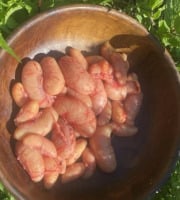 Des Poules et des Vignes à Bourgueil - Rognon de coq