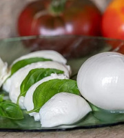Ferme Lait Prés Verts - Mozzarella 190 g