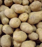 Les Jardins de Gérard - Pomme de terre Charlotte Bio - 1kg