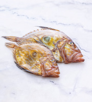 Poissonnerie La Piriacaise - FILET DE SAINT PIERRE 300g