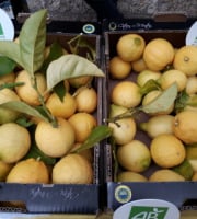 Le Jardin des Antipodes - Citron De Menton Igp Bio 5kg