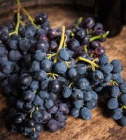 Les Jardins de Gérard - Raisin noir Bio - 400g