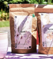 Chicorée Aceae - Pack Grains & Infusion – L’authentique de la Chicorée