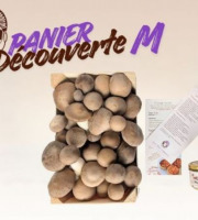 Les Myconautes - Panier Myconautes champignons bio - Taille M