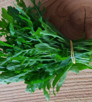 Ferme de la ville basse - Roquette Sauvage Bio 500Gr