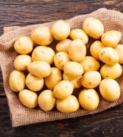 Nature et Saveurs - Ferme Aquaponique et Permacole Astérienne - Pomme de Terre Nouvelle
