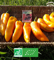 LES JARDINS DE KARINE - Poivrons oranges - 500g