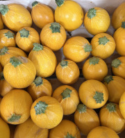 Maison Quéméner - Courgette ronde jaune - Lot de 2 pièces (environ 600 g)
