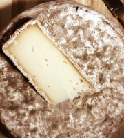 Maréchal Fraicheur - Tomme de chèvre fermière
