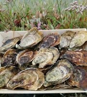 Gambas Impériales de France - Huîtres Spéciales de Claire Charente Maritime N°3 - 2 douzaines