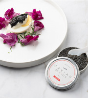 Caviar de l'Isle - Caviar Sevruga 100g - Caviar de l'Isle