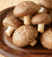 Cham B - Shiitakés Français Extra Frais  2kg