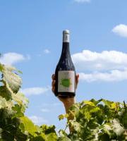 Domaine de la Perrée - AOC Saint-Nicolas-de-Bourgueil Rouge - Vignerons en Herbe 2022