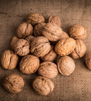 Nature et Saveurs - Ferme Aquaponique et Permacole Astérienne - Noix fraîche Franquette – croquante, douce