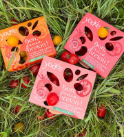 Agriloops - Assortiment de tomates Agriloops