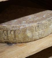 Alléosse Maitre Artisan Affineur Fromager - Gruyère de Fribourg AOP d'Alpage +18 mois