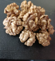 Rébecca les Jolies Fleurs - Cérneaux de noix