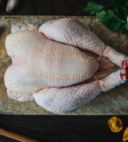 Maison BAYLE - Champions du Monde de boucherie 2016 - Poulet Fermier - 2.100 kg