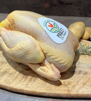 Charcuterie Commenges - [Précommande] 1 Poulet Entier Fermier BIO - 1.8kg