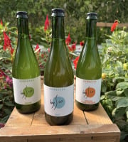 Nature et Saveurs - Ferme Aquaponique et Permacole Astérienne - Coffret Kombucha Bio Bysco - 3x75cl