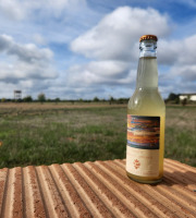 ChâteauFer - Kombucha Carotte 33cl