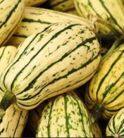 Les Jardins de Mondpa - courge bush délicata