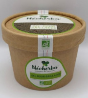 Néoherba - Sel pour grillades