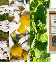 L'Agricueilleur du Suzon - Infusion Lendemain de fête BIO