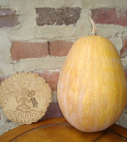 Ferme de Cernunnos - Sucrine du Berry Bio - 2kg
