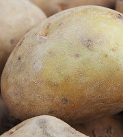 Mon Petit Producteur - Pomme De Terre Bio Allians - Variété à Chair Ferme 1Kg